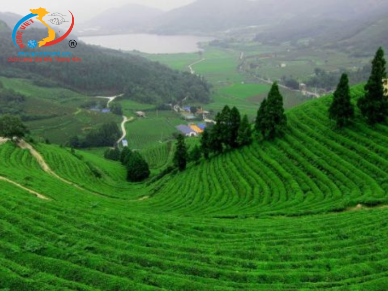 TOUR BẢO LỘC - TÀ ĐÙNG - SĂN MÂY TRÊN VỊNH HẠ LONG TÂY NGUYÊN - XE LIMOUSINE