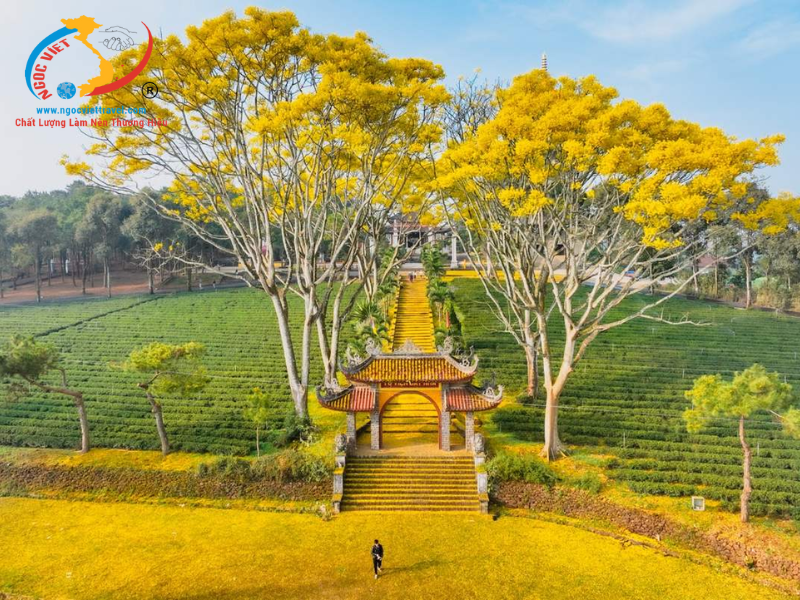 TOUR BẢO LỘC - TÀ ĐÙNG - SĂN MÂY TRÊN VỊNH HẠ LONG TÂY NGUYÊN - XE LIMOUSINE