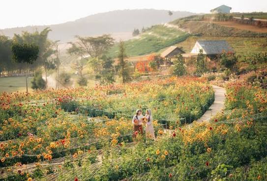 TOUR NHA TRANG - ĐÀ LẠT 4N4Đ
