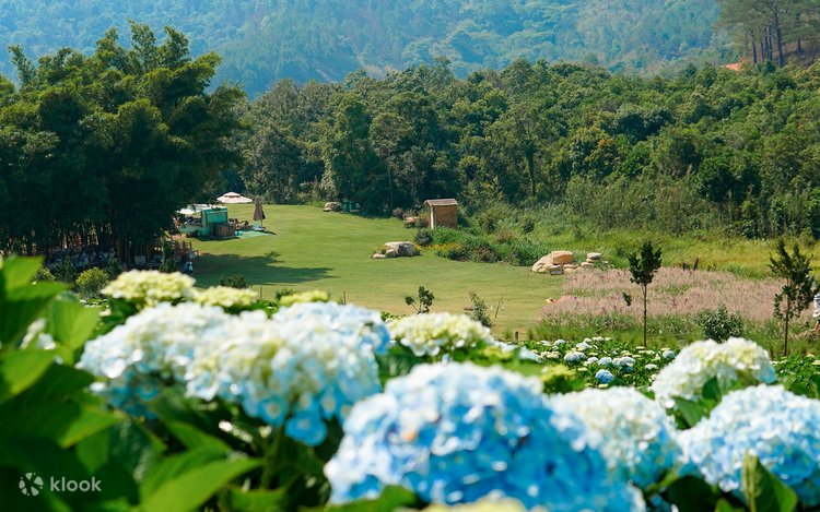 TOUR NHA TRANG - ĐÀ LẠT 4N4Đ